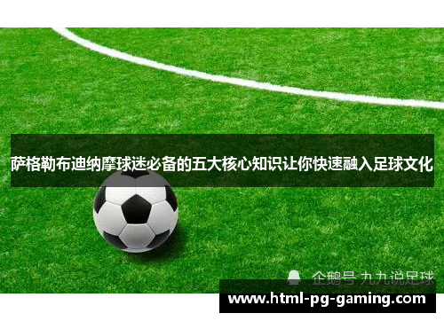 萨格勒布迪纳摩球迷必备的五大核心知识让你快速融入足球文化