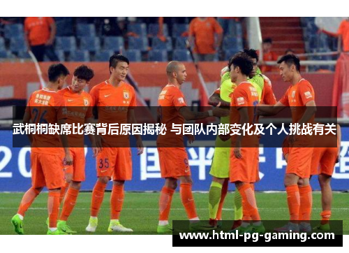 武桐桐缺席比赛背后原因揭秘 与团队内部变化及个人挑战有关