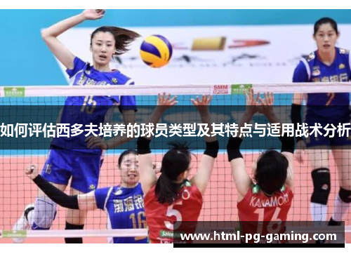 如何评估西多夫培养的球员类型及其特点与适用战术分析