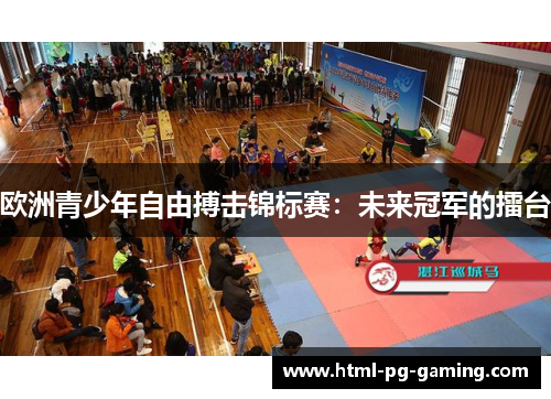 欧洲青少年自由搏击锦标赛：未来冠军的擂台