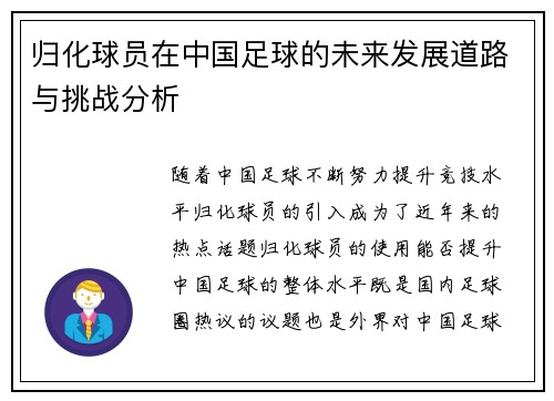 归化球员在中国足球的未来发展道路与挑战分析